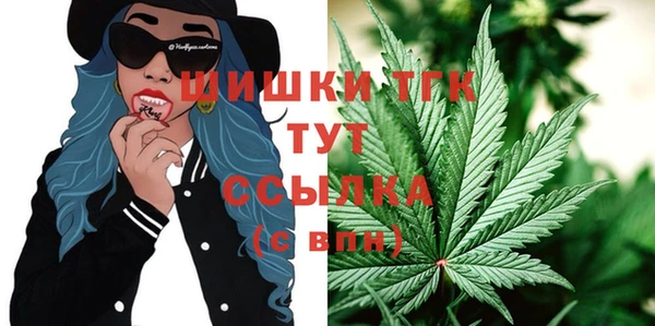 тгк Беломорск