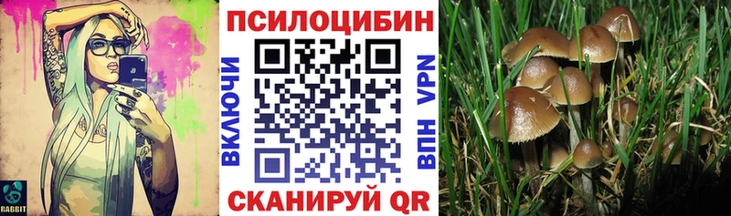 Псилоцибиновые грибы Psilocybine cubensis  Вуктыл 